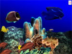 Aquatica 3D screenshot