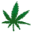 Cannabinatic Screensaver screenshot